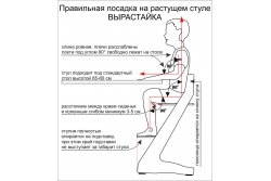 Стул Вырастайка